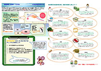 健康新聞2013年12月号